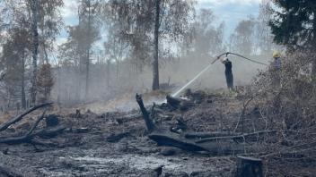 Seit mehr als drei Wochen brennen große Waldflächen in der Sächsischen Schweiz an der Grenze zu Tschechien. Nun helfen auch Feuerwehrleute aus dem Emsland bei der Brandbekämpfung.
