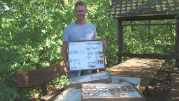 Gerrit Marks aus Sögeln präsentiert einen Teil seiner Schmetterlingssammlung.