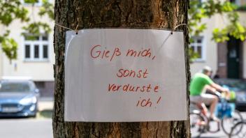 Gieß mich, sonder verdurste ich! - Hinweiszettel zum Gießen eines Berliner Strssenbaums. / Water me, or I ll die of thir