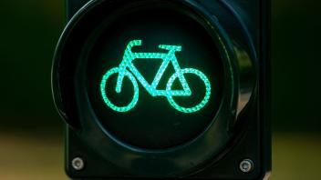 ARCHIV - Eine Fahrradampel zeigt Grün. Foto: Monika Skolimowska/dpa-Zentralbild/dpa/Symbolbild