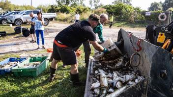Menschen sind mit dem Herausfischen von toten Fischen aus der Oder  in Stettin im Einsatz. Foto: Jerzy Muszynski/PAP/dpa