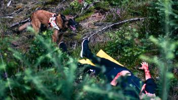 Schäferhund Najim hat eine schwer verletzte Person in einem Waldgebiet aufgespürt.