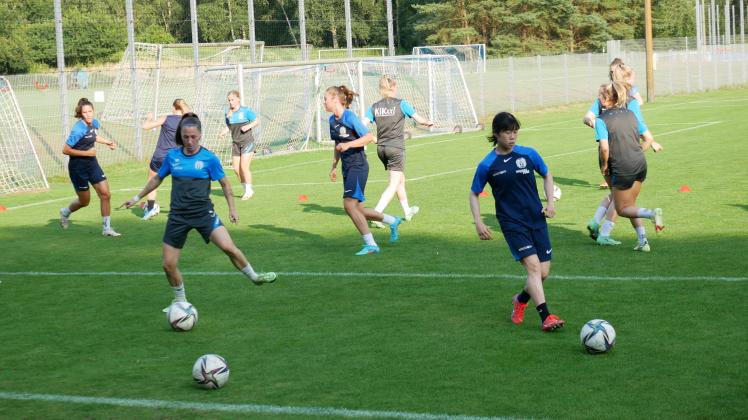 svm-frauen Training