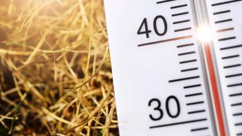 Thermometer bei 40 Grad Celsius auf vertrocknetem Gras, Symbolfoto Hitzewelle *** Thermometer at 40 degrees Celsius on d