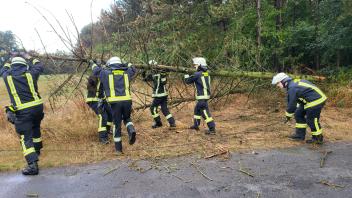 Am Haupteschweg in Meppen-Esterfeld ist am Mittwochnachmittag ein Baum umgestürzt.