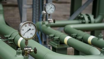 ARCHIV - Zum 1. Oktober kommen weitere Umlagen auf Gaskunden zu. Foto: Axel Heimken/dpa