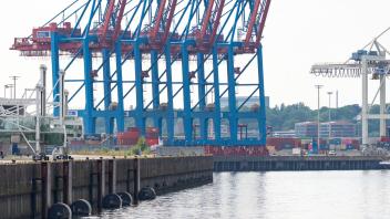 ARCHIV - Vier Containerbrücken stehen hochgeklappt an einem leeren Kai des Containerterminals Tollerort in Steinwerder. Foto: Jonas Walzberg/dpa