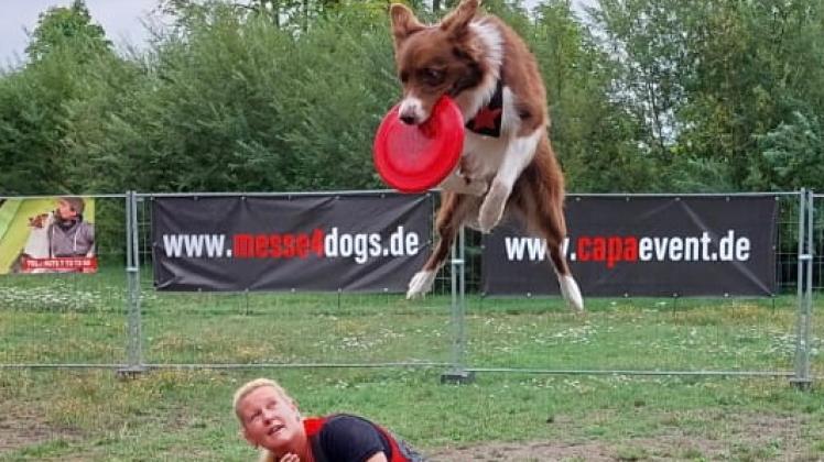 Dogfrisbee bei der „messe4dogs“ auf der Burg in Neustadt-Glewe