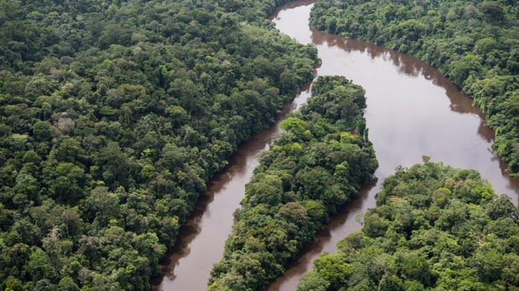 ARCHIV - Regenwald und Fluss Ampari etwa 10 Meilen südöstlich vom Nationalpark Tumucumaque. Foto: Daniel Beltrá/Greenpeace United Kingdom/dpa - ACHTUNG: Nur zur redaktionellen Verwendung im Zusammenhang mit der aktuellen Berichterstattung und nur mit vollständiger Nennung des vorstehenden Credits