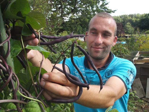 Hohe Preise für Gemüse: Boom bei Kleingärtnern in Hohenwestedt