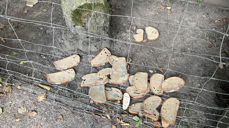 Verschimmeltes Brot im Damwildgehege des Grönenbergparks in Melle-Mitte. 