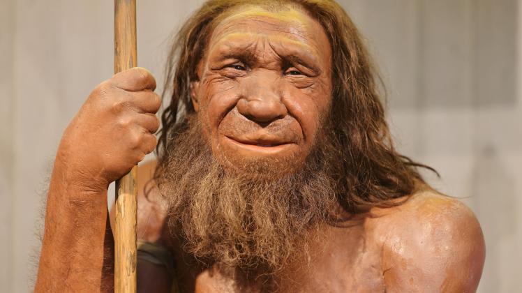 KINA - Kluge Neandertaler