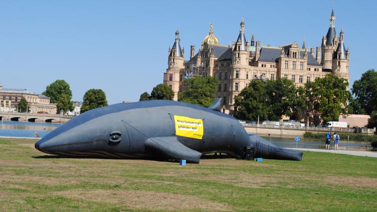 Wal vor dem Schloss, Aktion von Greenpeace
