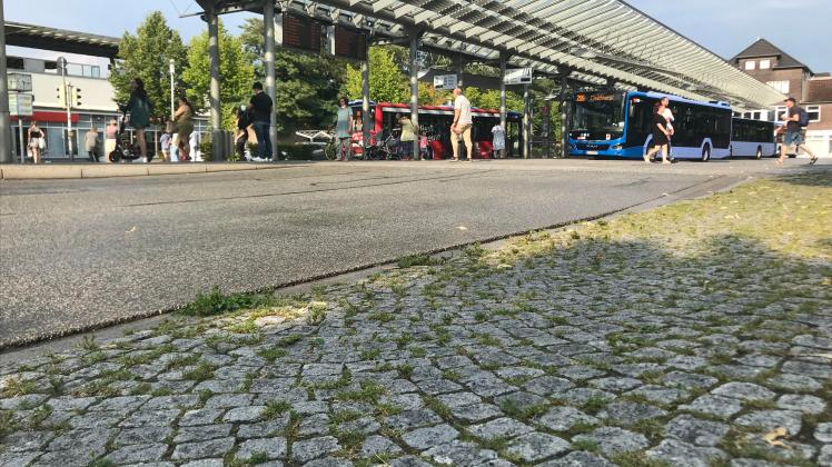 Delbus ZOB Delmenhorst