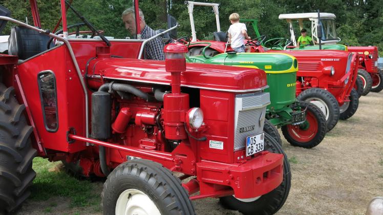 Auch alte Traktoren werden beim Reformationsfest des Vereins Reitsport Bippen am 31. Oktober zu sehen sein.