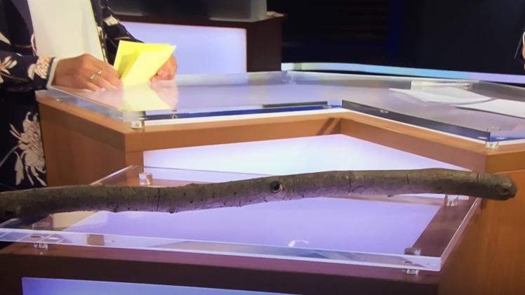 Die Tatwaffe wurde bei „Aktenzeichen XY“ im Studio gezeigt.
