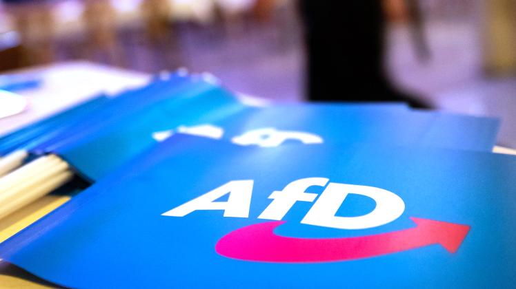 Verfassungsschutz im Südwesten stuft AfD als Verdachtsobjekt ein