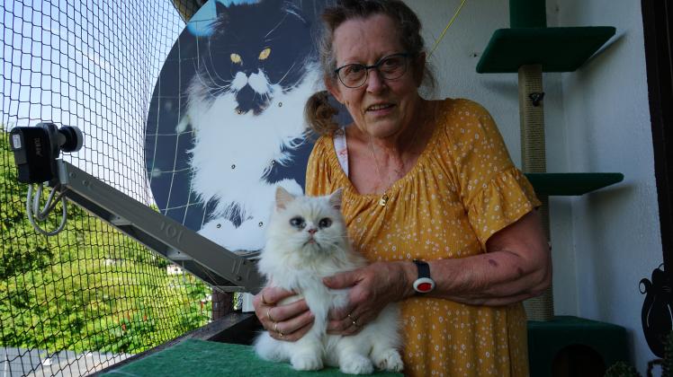 Brigitte Müller und ihr Liebling Anubis. Die Katzenfreundin hat sogar die Satelltenschüssel mit einem Katzenmotiv bedrucken lassen.