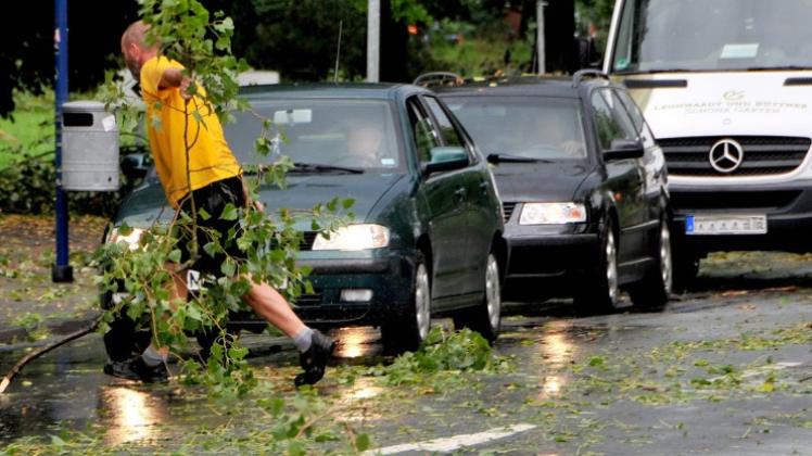 Abgebrochene Äste säumten die Wege. 
