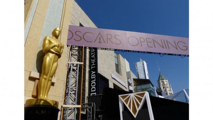 Oscars 2015 Wer gewinnt die goldenen Trophäen? NOZ