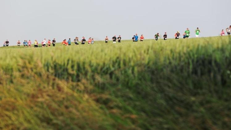Borgloher Weiherlauf -