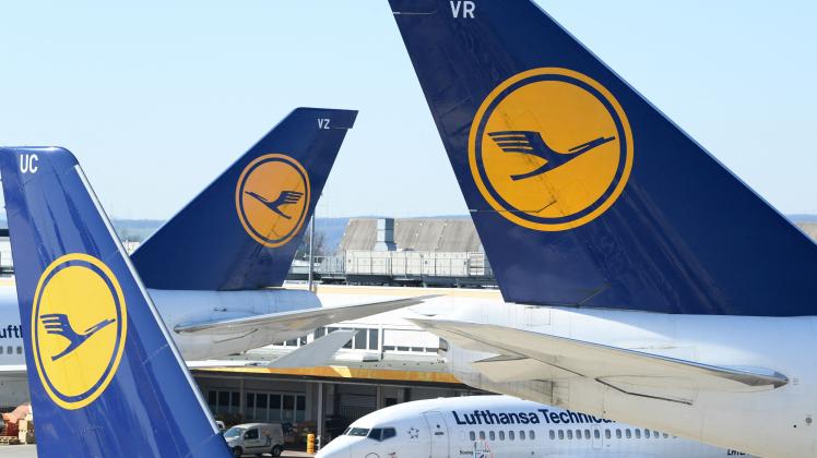 Piloten-Streik: Bundesweit streicht Lufthansa am Freitag nahezu ihr komplettes Programm. Es fallen an den Drehkreuzen München und Frankfurt rund 800 Flüge aus.