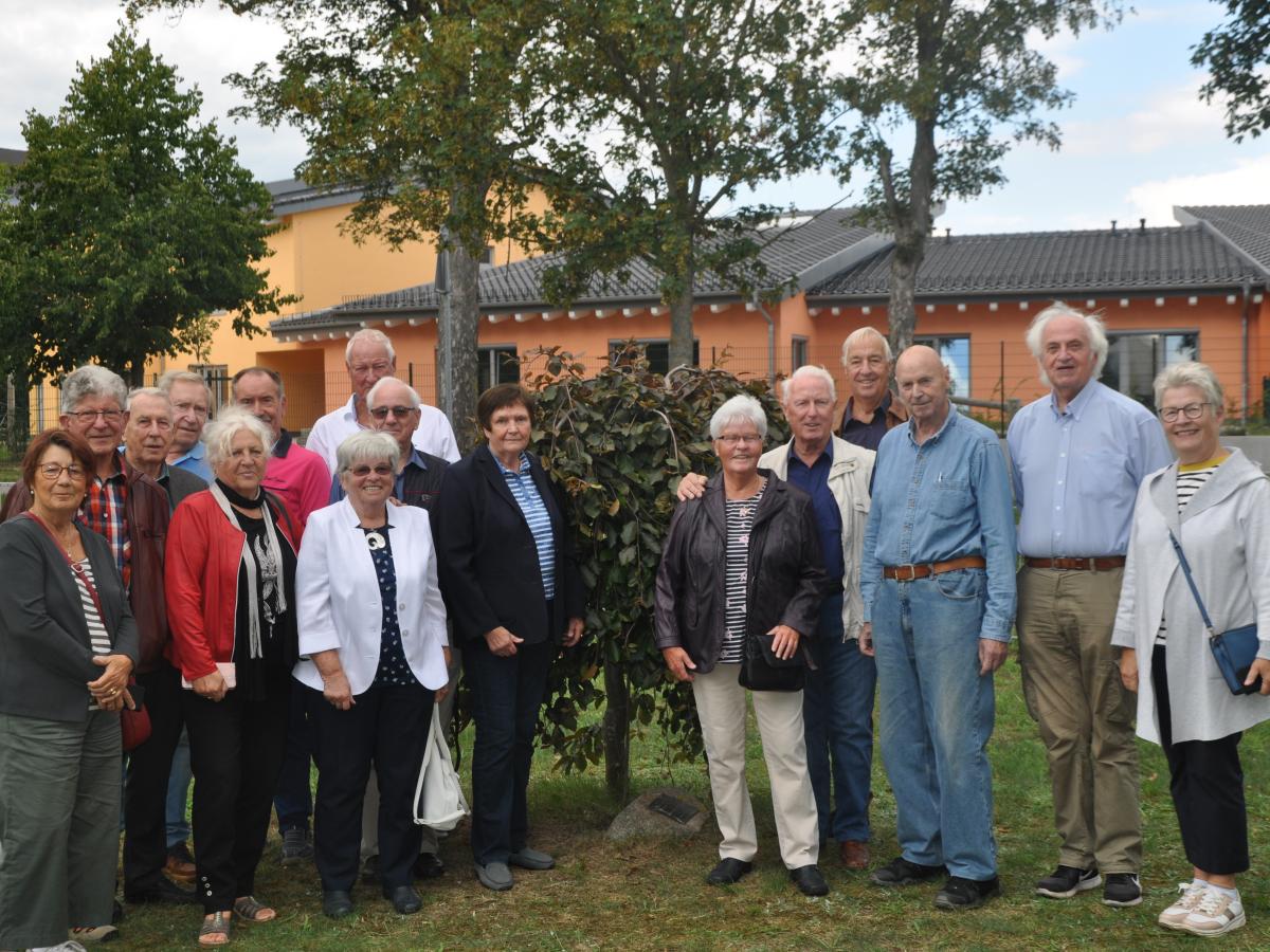 Regenpilz GELA DDR in Parchim - Landkreis - Parchim