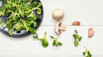 Healthy vegetarian diet concept. Lamb&apos;s lettuce feldsalat on a black plate, garlic, mushrooms. White wooden table. (Viktoria Kondysenko)