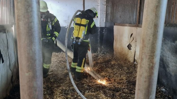 Den Brand in einem Pferdestall in der Straße Veen konnte die Freiwillige Feuerwehr Spahnharrenstätte löschen.