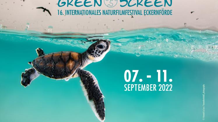 Das Plakat zum Naturfilmfestival zeigt eine Baby-Schildkröte – und auch, was sie bedroht. 