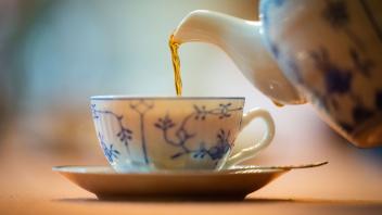 Ostfriesen mit Weltrekord in Teetrinken