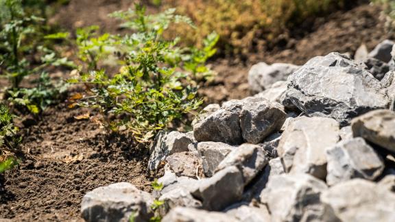<p>HANDOUT - Das ist mehr als nur ein Haufen Steine in einer Gartenecke: Das ist ein Zuhause für viele Tiere. Foto: IVA e.V./dpa-tmn - ACHTUNG: Nur zur redaktionellen Verwendung im Zusammenhang mit dem genannten Text und nur bei vollständiger Nennung des vorstehenden Credits</p> Mehr als nur ein Haufen Steine