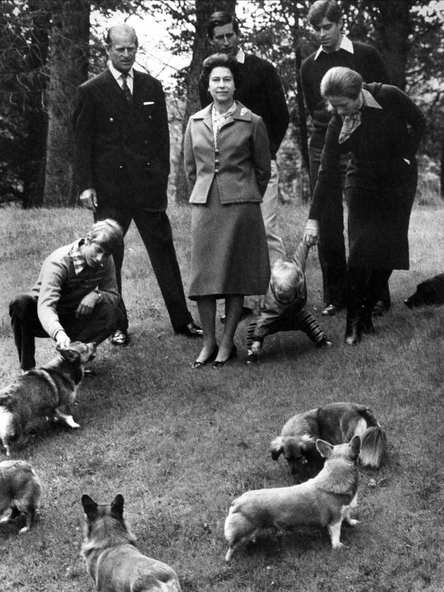 Die königlichen Familie und die königlichen Corgis im Jahr 1978.