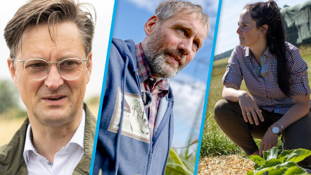 Landwirtschaft in der Region Osnabrück: Das Wasser wird knapp - und