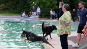 Hundeschwimmen im Freibad Bredstedt