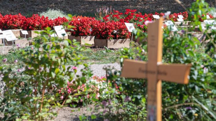 Wiesbaden testet Friedhofspflanzen