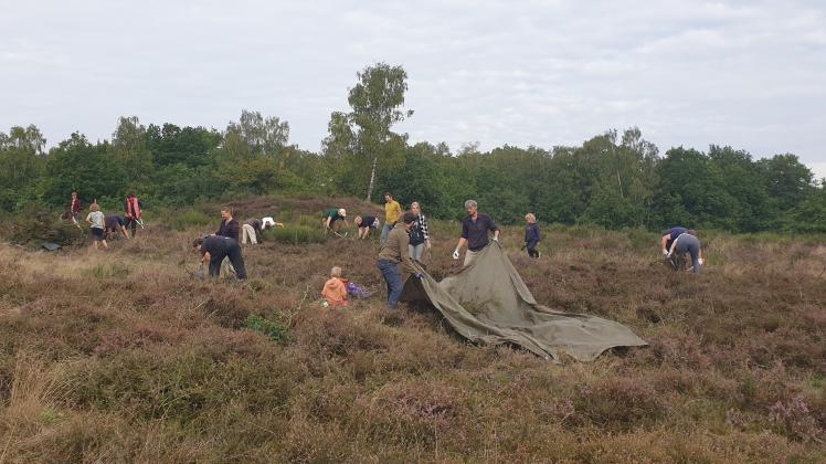 Die Bretziner Heide wurde gepflegt NNN