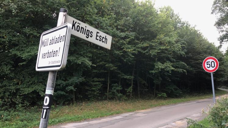 Am Königs Esch in Holzhausen hat die Stadt Georgsmarienhütte 2002 Ersatzaufforstungen vorgenommen, die als Flächenpool für künftige Ausgleichsverrechnungen in Anspruch genommen werden. Dieses Verfahren ist aber seit 2009 nicht mehr zulässig. Deshalb drohen der Stadt Kosten für nachzuholende Ersatzpflanzungen. 