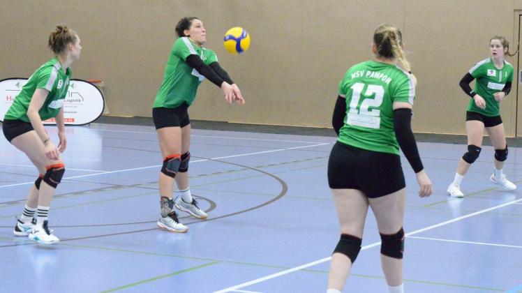 Volleyballerinnen MSV Pampow Annahme