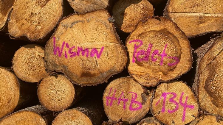 Etliche Mengen Holz warten auch in Wäldern Nordwestmecklenburg auf den Abtransport in ein Pellet-Werk.