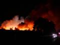 Wunderschne Baumschule Horstmann Brand Fotosnull