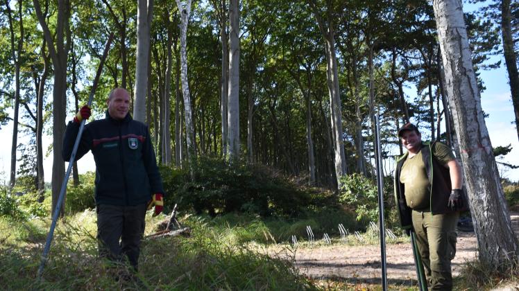 Revierförster Christoph Willert (l.) und Forstarbeiter Kevin Hoepner haben am Donnerstag Metallpfähle in den Boden des Küstenwaldes gerammt, denn etwa 5000 Quadratmeter sollen eingezäunt werden. 