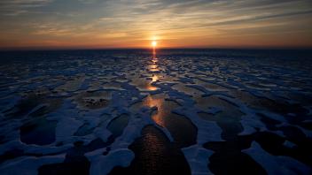 Klima und Natur in der Arktis