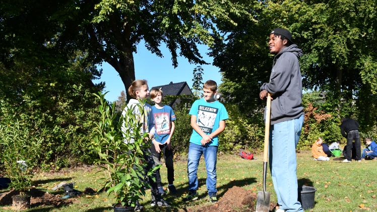 Das Peer-Prinzip greift auch bei der Pflanzaktion: Schüler der oberen Klassen helfen den Jüngeren beim Einpflanzen.
