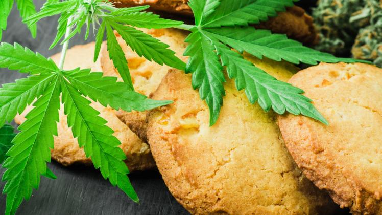 Cookies with cbd cannabis and buds of marijuana on the table. A can of cannabis buds Concept of cooking with cannabis herb. Treatment of medical marijuana for use in food, use CBD (cendeced)