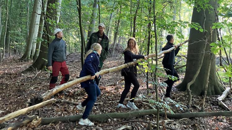 Schüler der regionalen Schule Lübz bauen gemeinsam einen Unterschlupf im Wald.