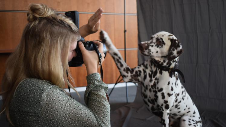Dalmatiner Vito ist der Titelhund der diesjährigen Rassehunde-Ausstellung in Rostock, hier in Szene gesetzt von Tierfotografin Annie Klähn.