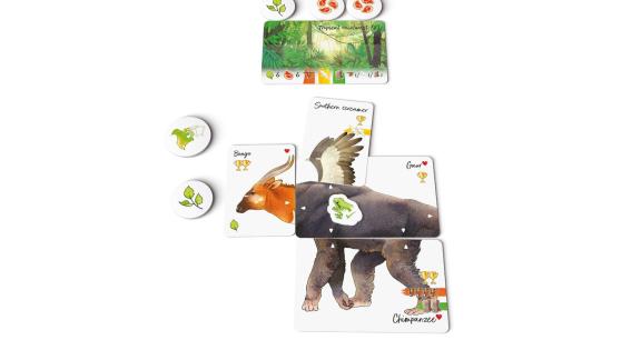 <p>HANDOUT - «Darwin
