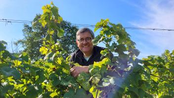 Jörn Andresen (58) erwartet in diesem Jahr eine gute Lese für seinen Stormarner Wein.