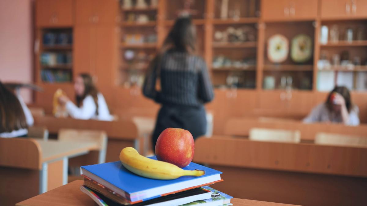 Verbände schlagen Alarm So viele Lehrer fehlen in den Schulen SHZ